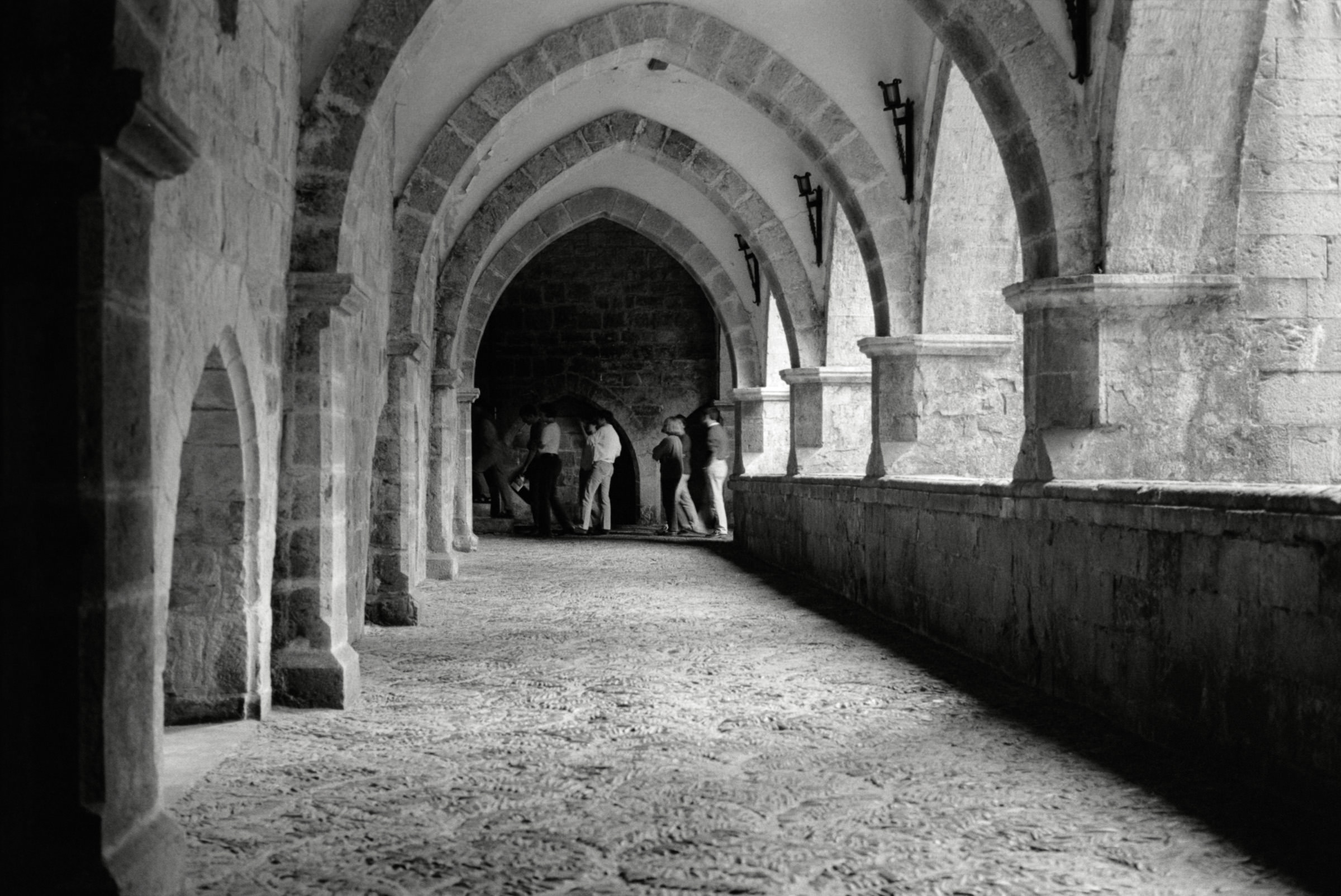 AHP F1995 05 005 sc240818 img32 NLP